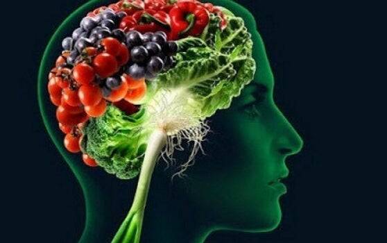 Alimentos que ajudam a fortalecer a memória
