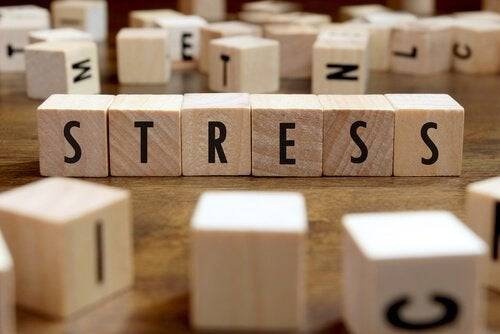 Efeitos do estresse à saúde