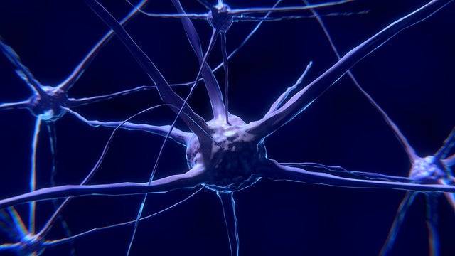 As características e operação dos neurônios
