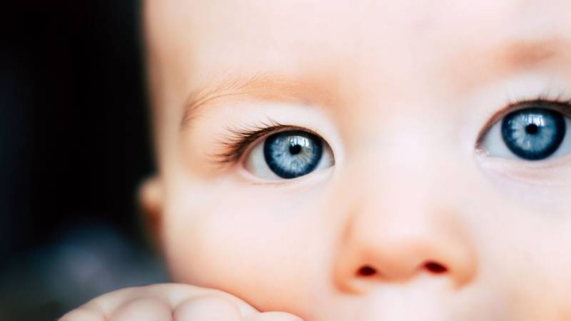 Ketabahan persepsi pada bayi apa yang mereka lihat dan kita tidak